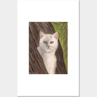 Snow-white  the cat Posters and Art